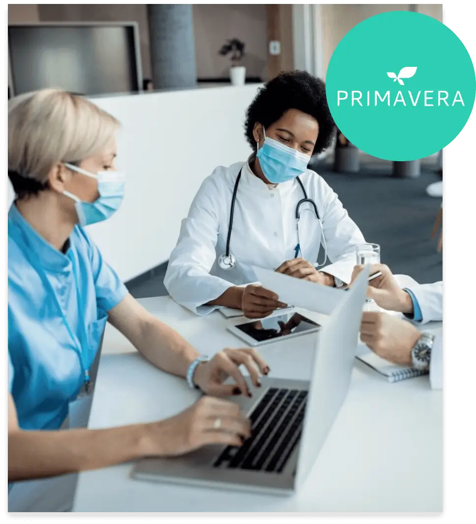 success-case-primavera success-case-primavera
