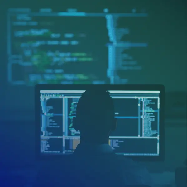 IT auditor